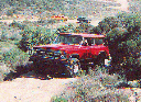 Big Red - Lynn Reed's Cherokee
