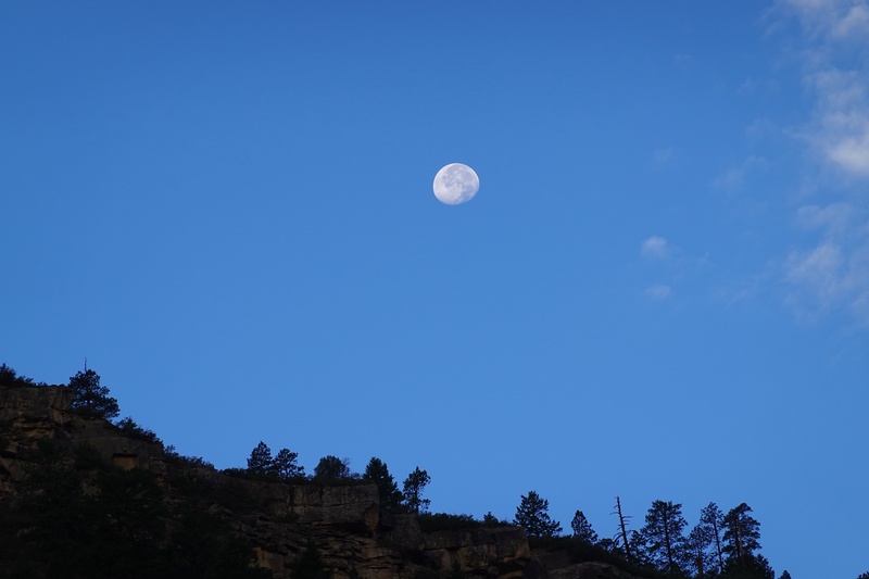 20250910_063054.sony