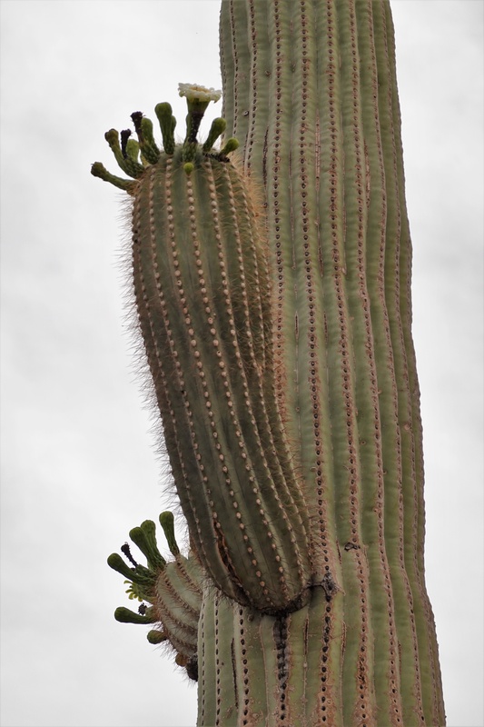 ECD00967.JPG