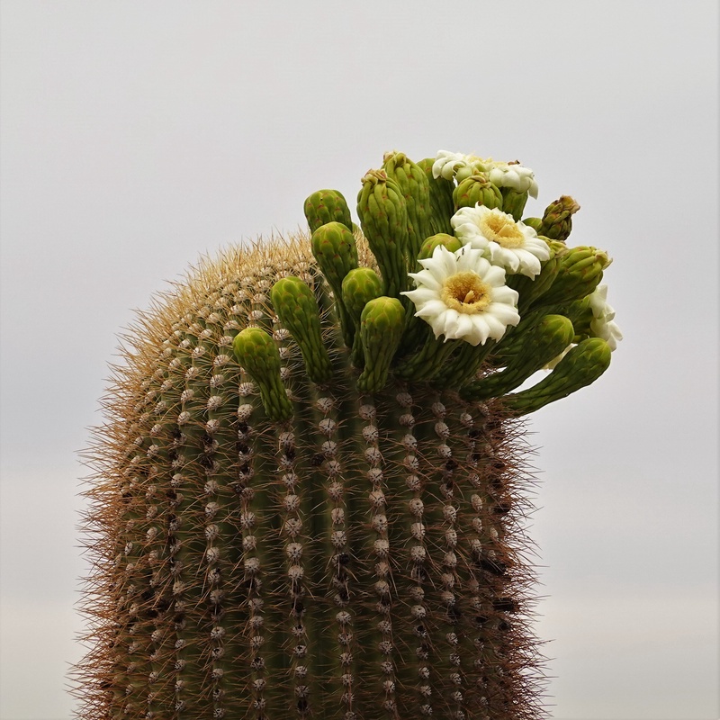 ECD00969.JPG