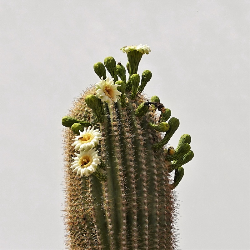 ECD01019.JPG