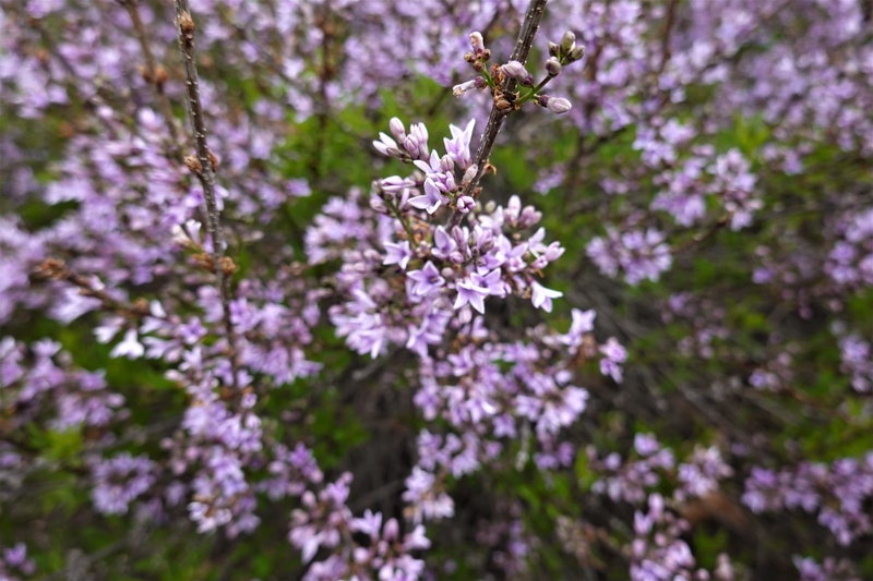 20260316_113612.Sony