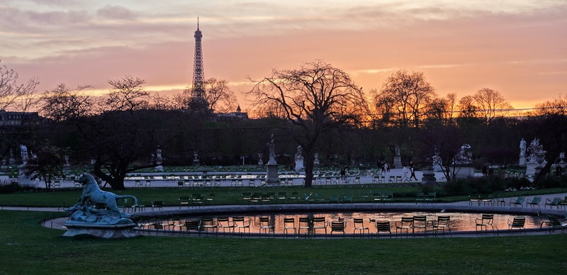 20260315_185432.Sony