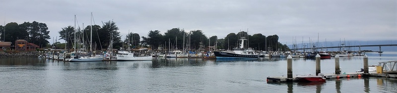 20250730_075456