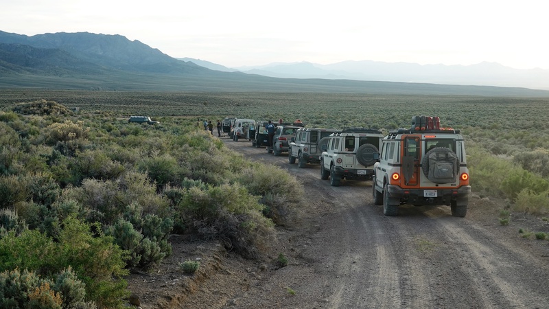 NEV00483m