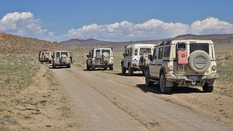NEV00523m
