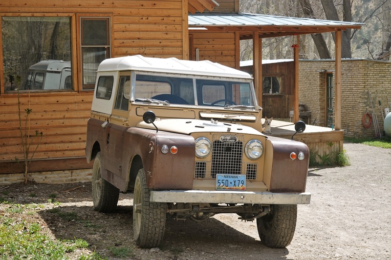 NEV00572m