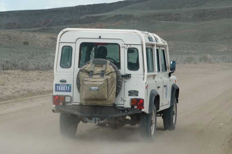 NEV00593m