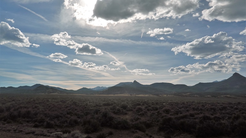 NEV00667m