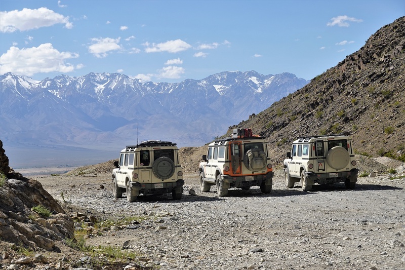 NEV00787m