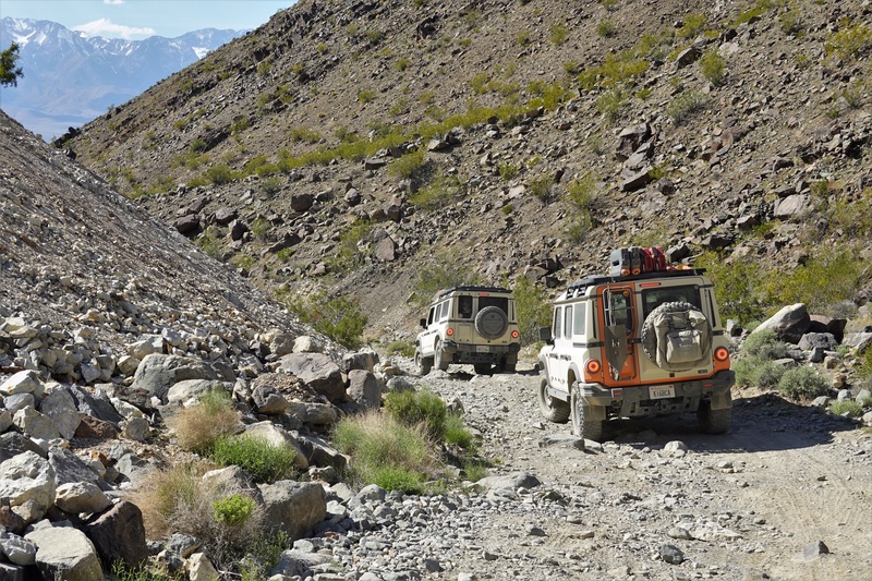 NEV00792m