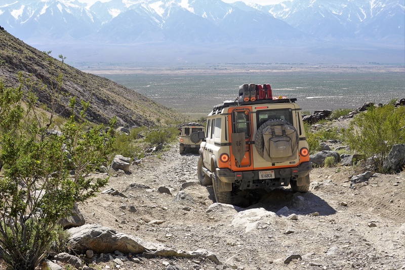 NEV00794m